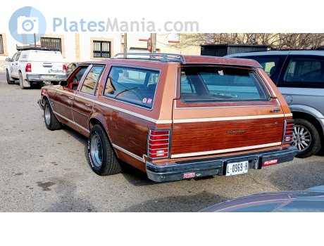 L 0969 H, Pontiac Safari