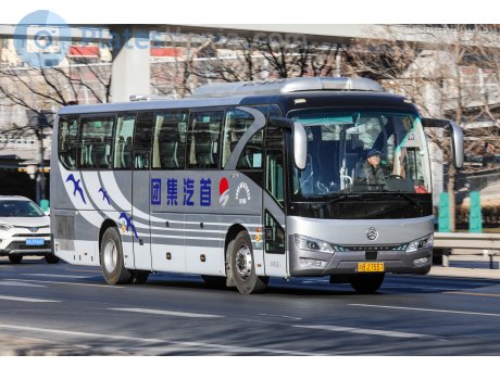 京B·27557, Golden Dragon XML6112