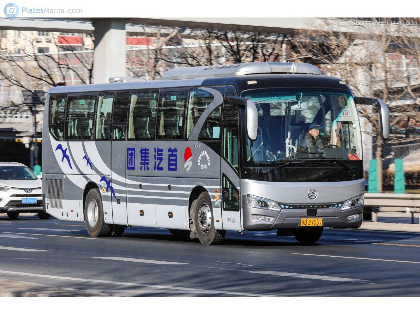 京B·27557, Golden Dragon XML6112 