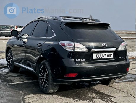 0009YA01, Lexus RX