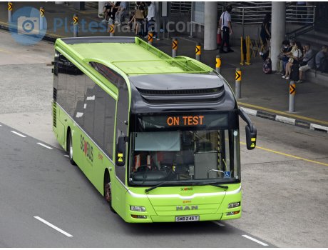 SMB 246 T, Gemilang NL323F