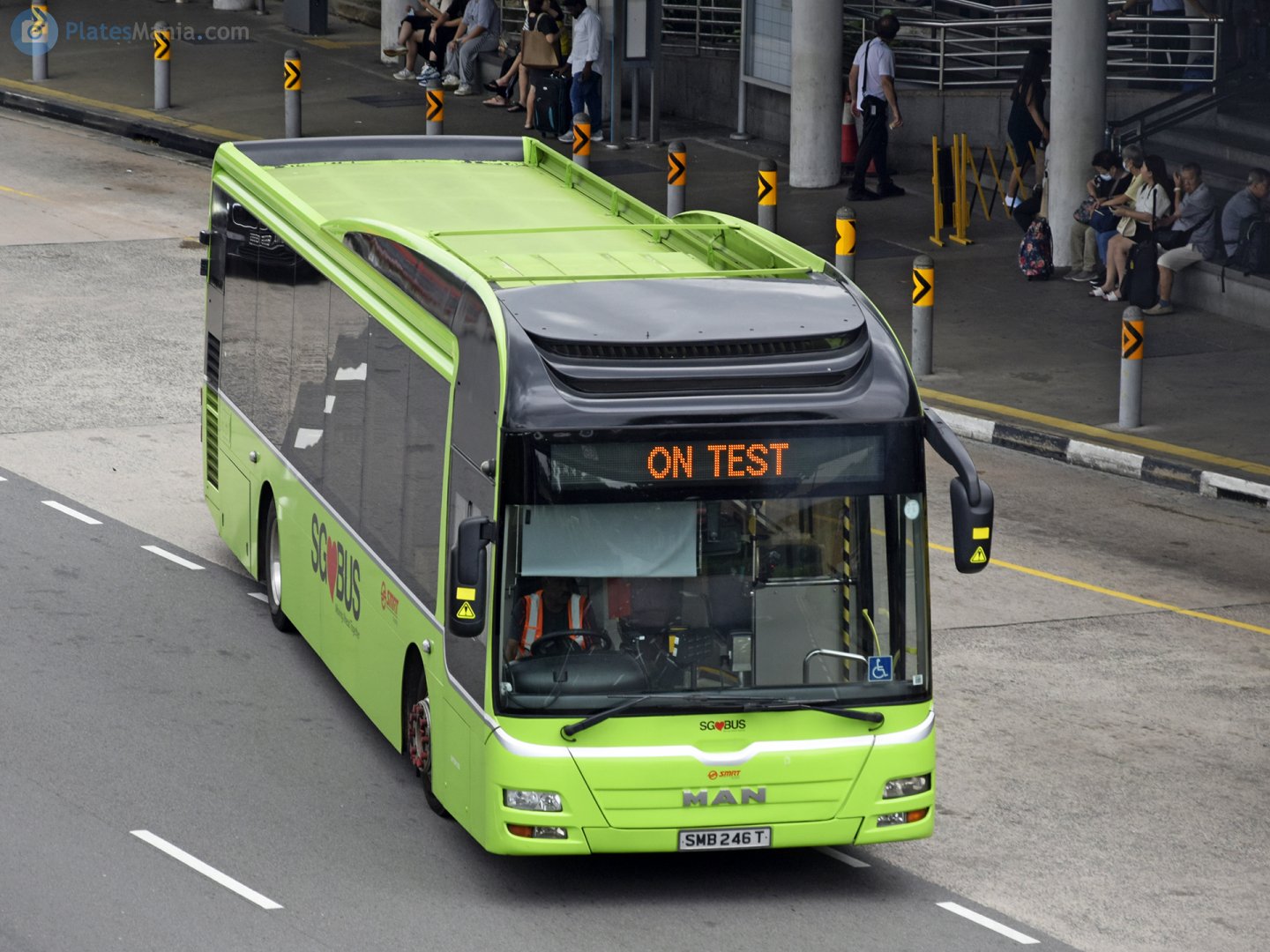 SMB 246 T, Gemilang NL323F 