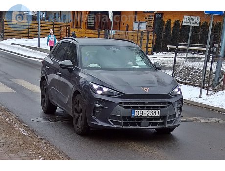 OB-2380, Cupra Terramar