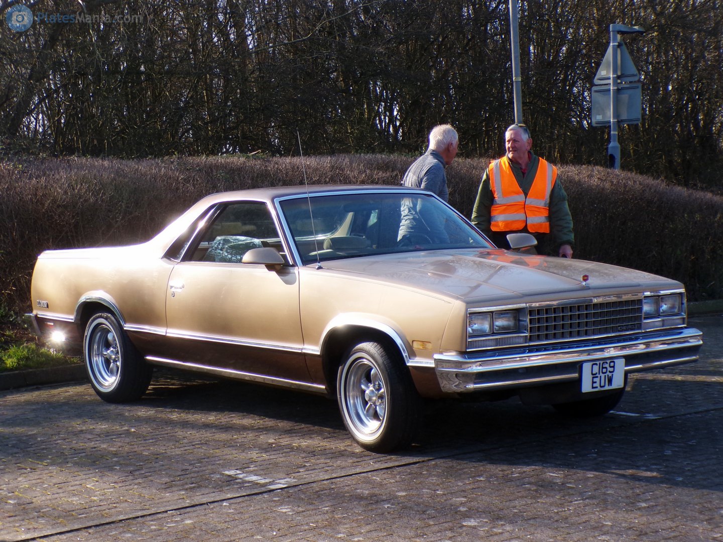 C169EUW, Chevrolet El Camino 5th gen (80; G-body), facelift, 1981–1987