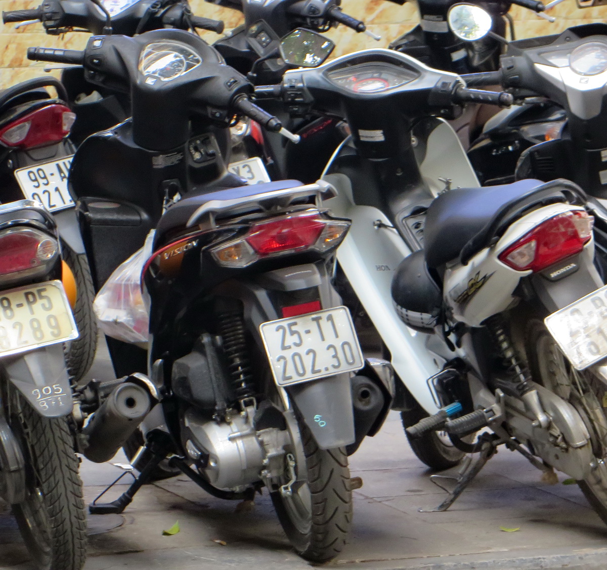 25-T1 202.30, Honda Vision 