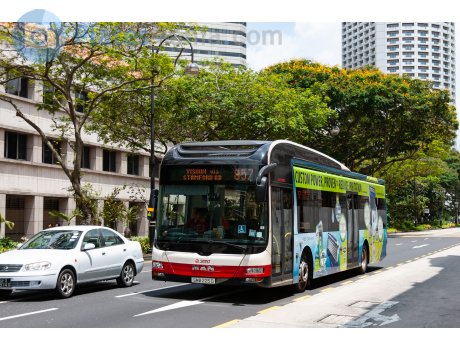 SMB 225 D, Gemilang NL323F