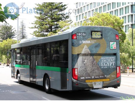 TP-2367, Volgren Optimus