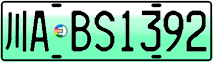 License plate of China, Electric vehicles