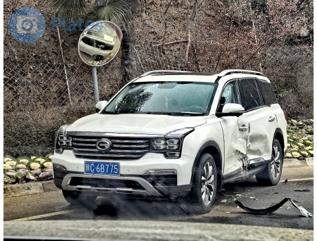 陕C·6B775, Trumpchi GS8
