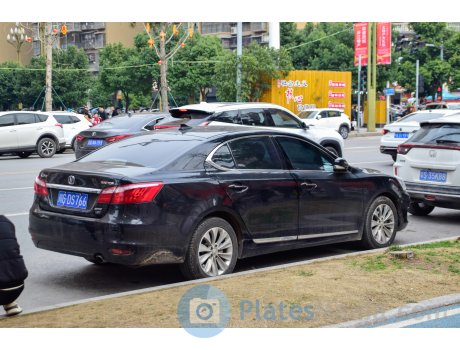 川G·DS766, Changan (Chana) Raeton