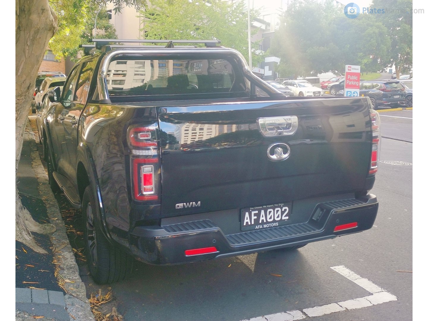 AFA002, Great Wall (GWM) Poer (Pao/P-Series/Ute) 1st gen (Global-market), 2019–