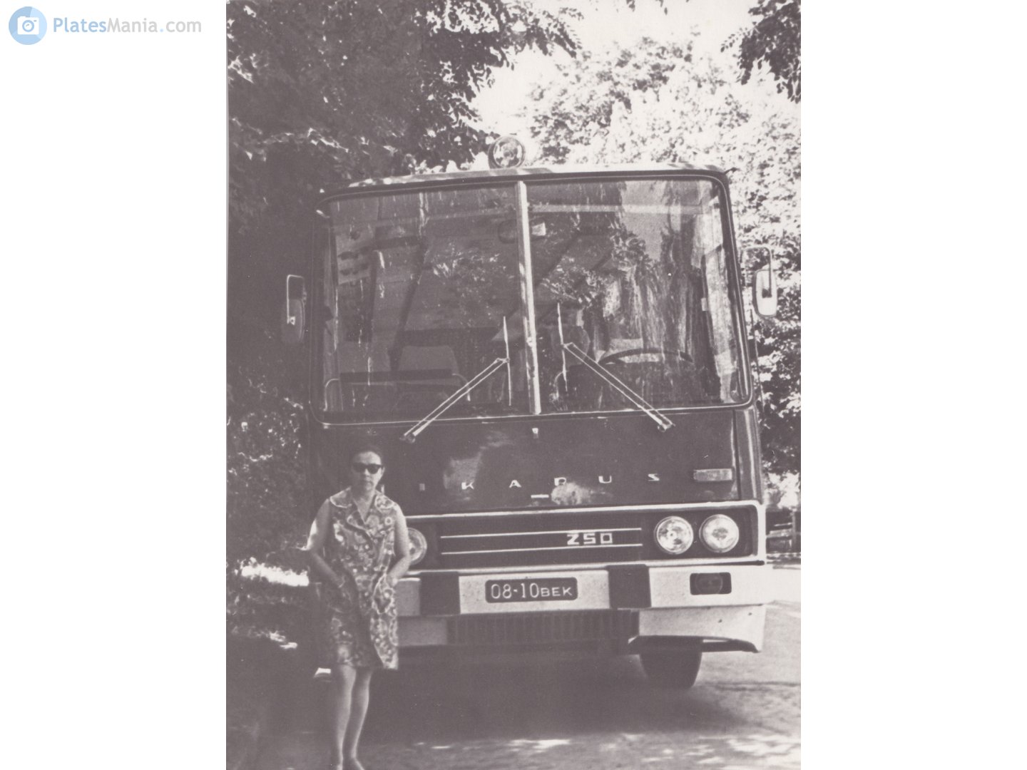 0810 ВЕК, Ikarus 250 