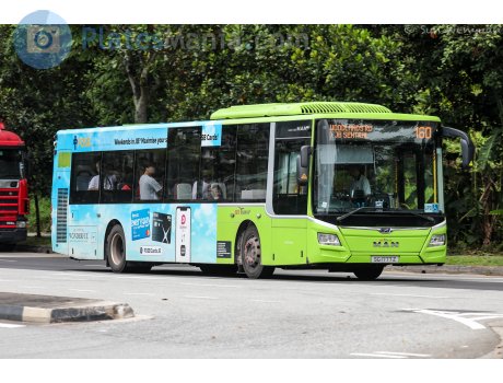 SG 1777 Z, Gemilang NL323F