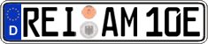 German license plate, Electric vehicles