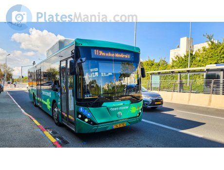 234-31-702, Merkavim Pioneer