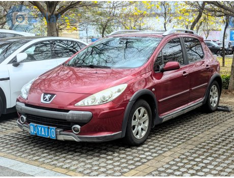 粤J·YA110, Peugeot 307