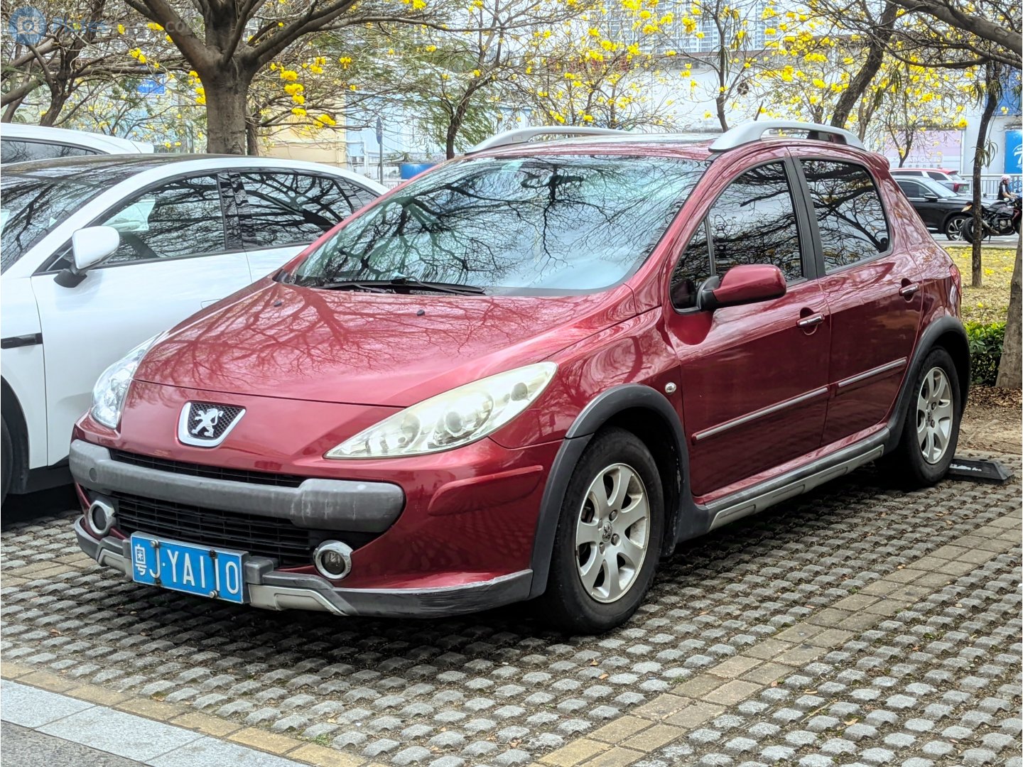 粤J·YA110, Peugeot 307 1st gen Cross Hatch (T6; CN-market), 2012–2014