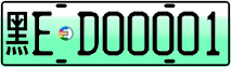 License plate of China, Electric vehicles