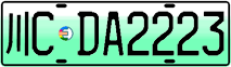 License plate of China, Electric vehicles
