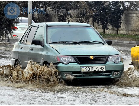 99 RL 262, SAIPA 132