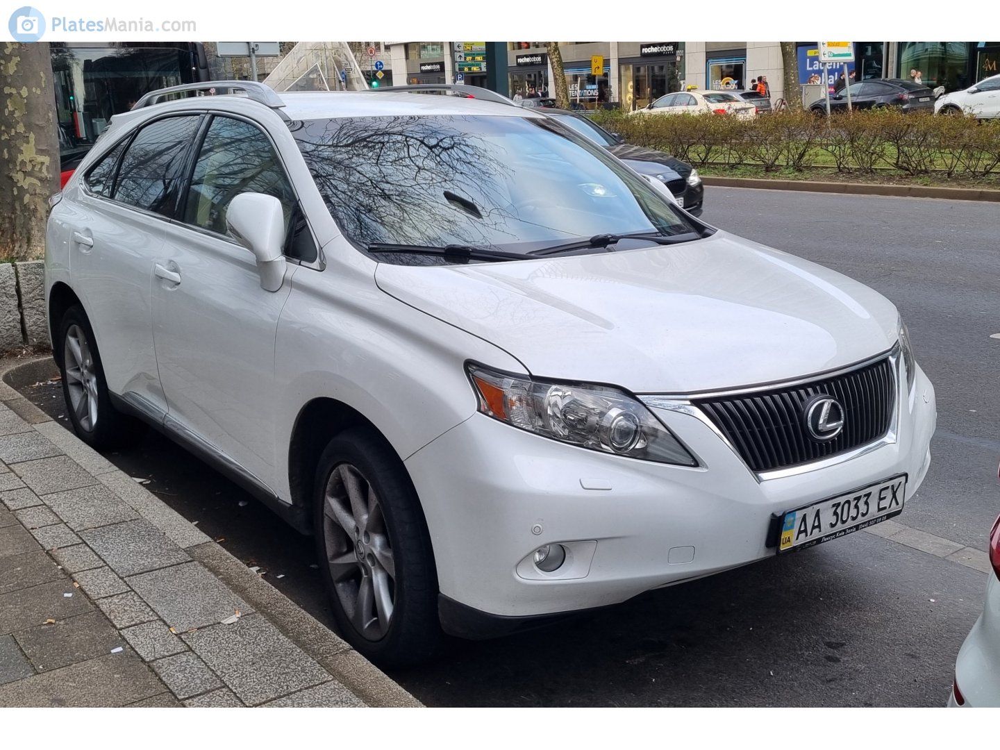 AA 3033 EX, Lexus RX 3rd gen (AL10), 2008–2012