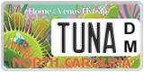North Carolina, Specialty plates (XXXX A/B)