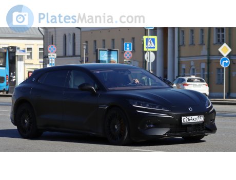 е264ку977, Denza (Tengshi) Z9