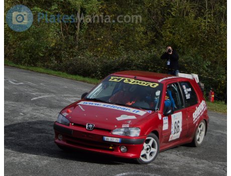 AN 917 PB, Peugeot 106