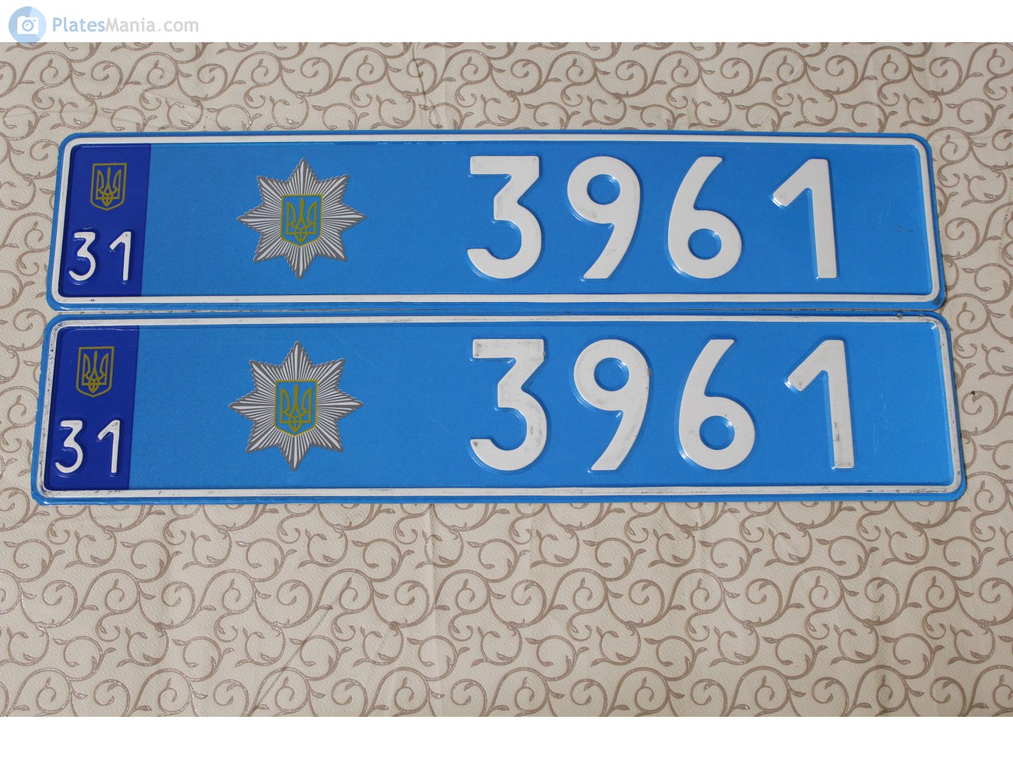 31 3961, License plate without vehicle 