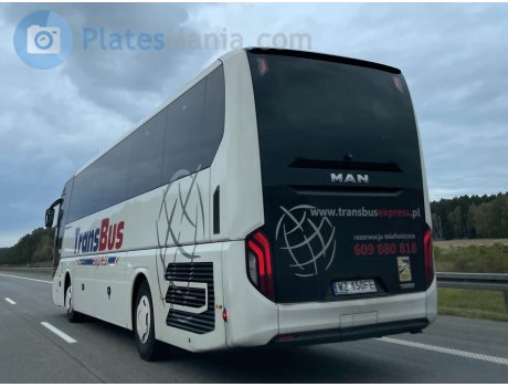 WZ 150FE, MAN Lion