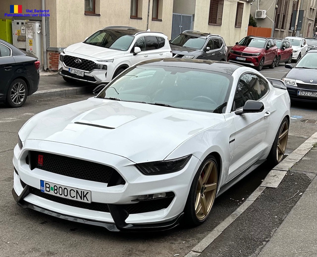 B 800 CNK, Ford Mustang 6th gen Shelby 2-door Coupé (S550), 2014–2017