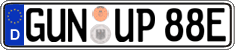 German license plate, Electric vehicles