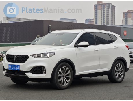 鲁A·S606A, WEY VV6