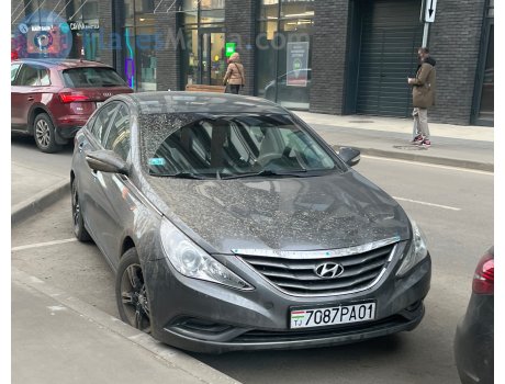 7087PA01, Hyundai Sonata