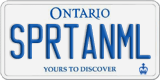 Ontario, Vanity Plates