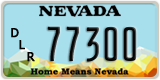 Nevada, Dealer / Loan (12345)