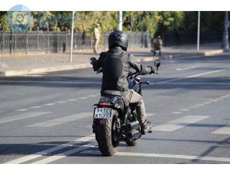 6412 хт 77, Benda Chinchilla