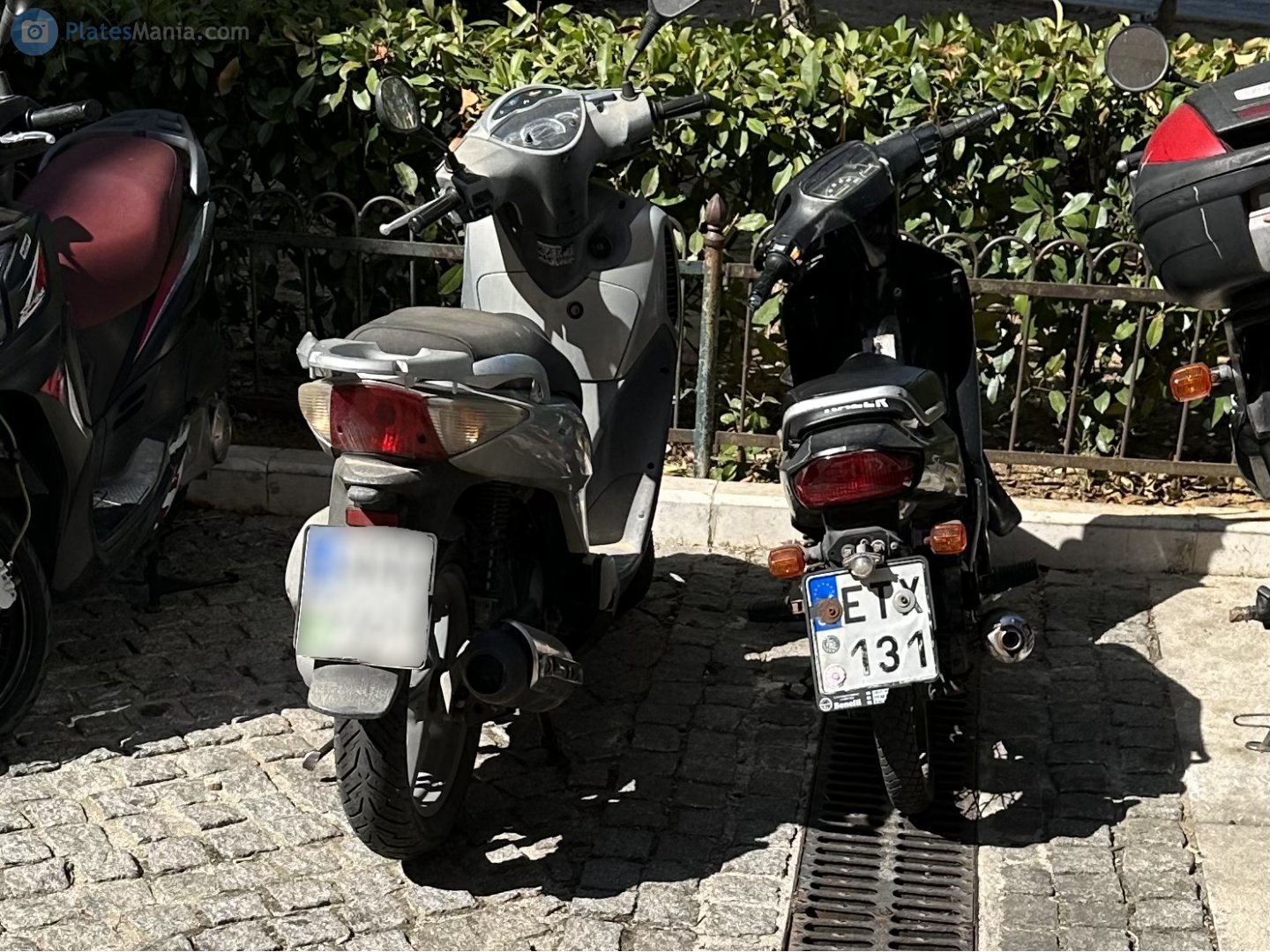 ETX-131, Suzuki Shogun 