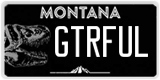 Montana, Vanity Plates