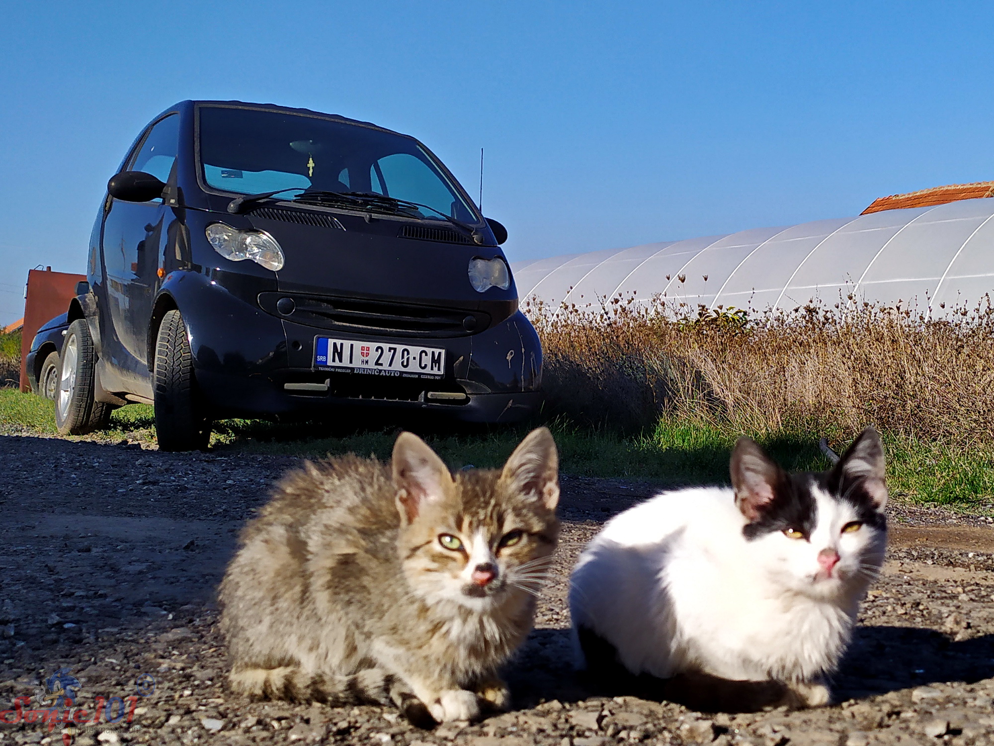 NI 270-CM, Smart ForTwo 1st gen (C450), 2003–2007