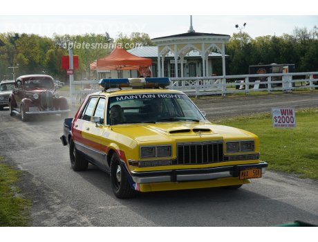 MAX  508, Dodge Diplomat