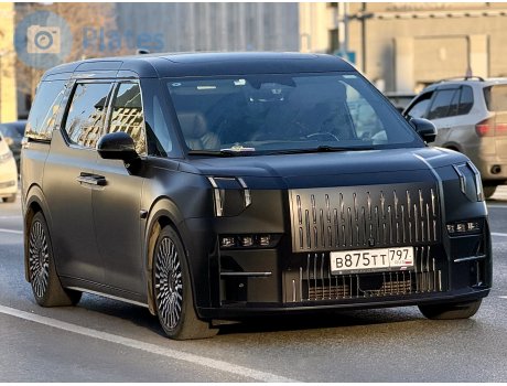 в875тт797, Zeekr 009