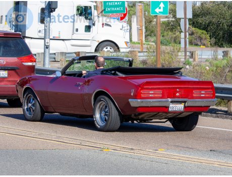 9BEE444, Pontiac Firebird