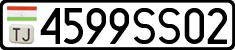 4599SS02