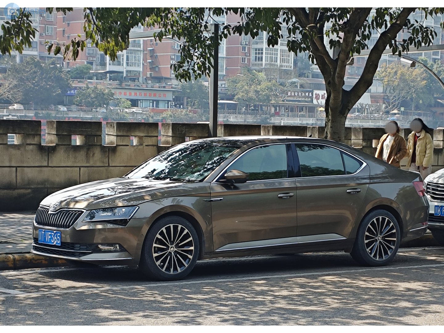 川T·VF365, Skoda Superb 3rd gen Liftback (B8/3V3), 2015–2019