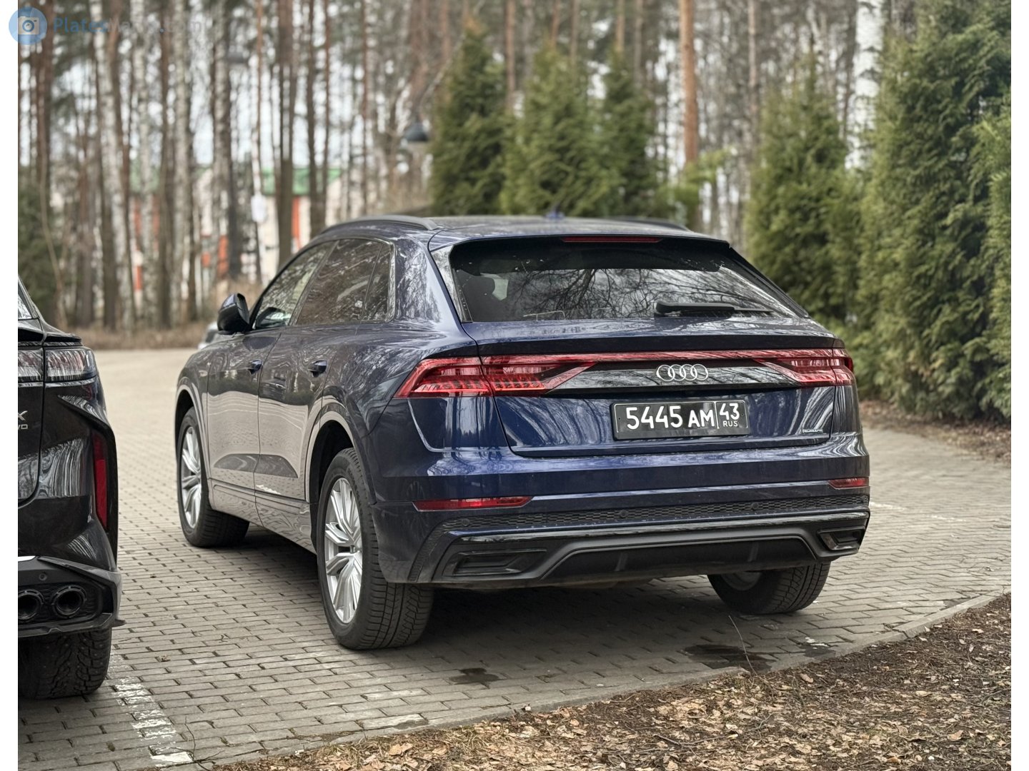 5445 ам 43, Audi Q8 1st gen (4MN), 2018–2023