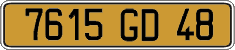 French license plate, FNI
