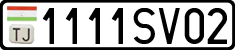 1111SV02