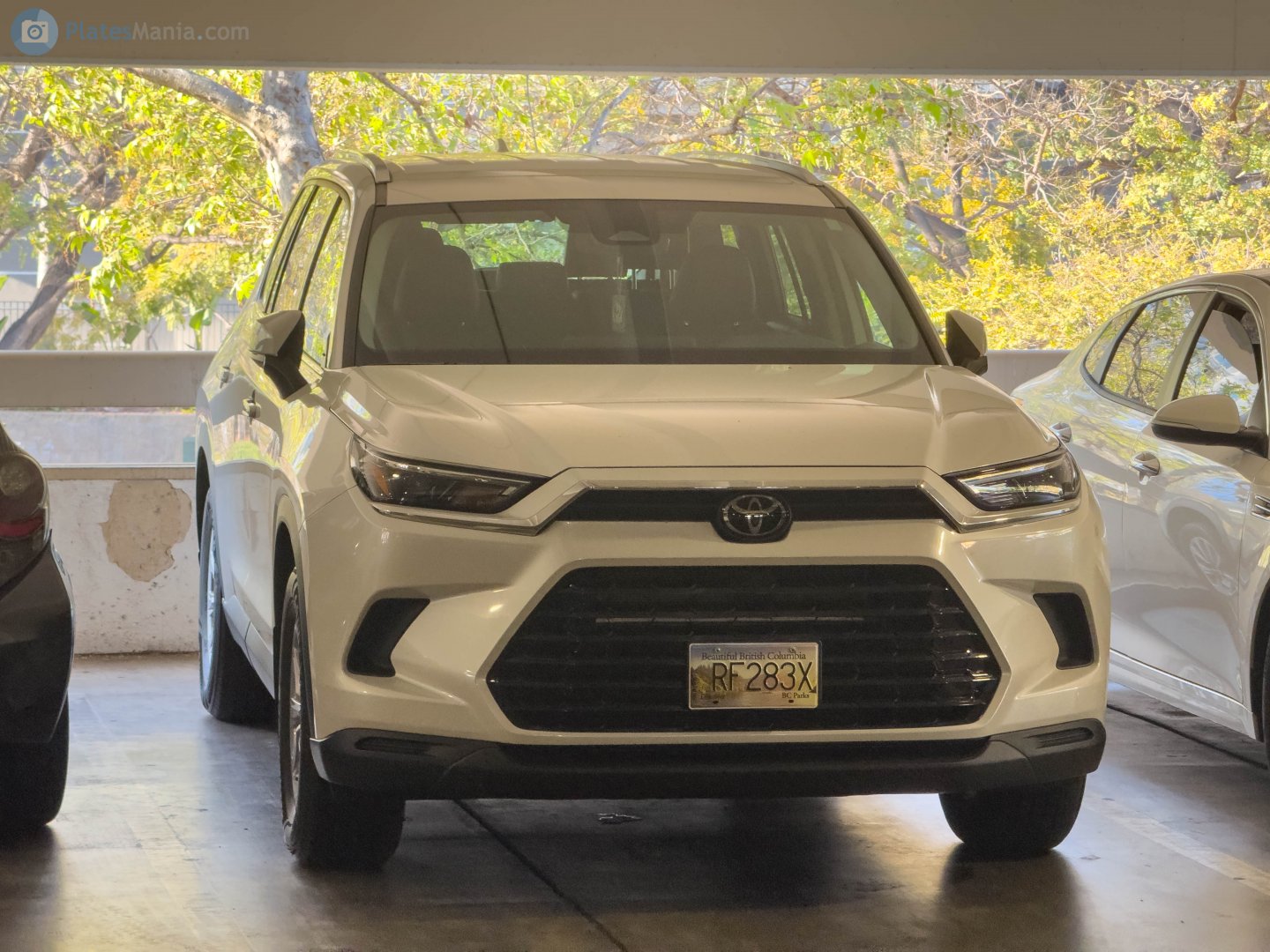 RF283X, Toyota Grand Highlander 1st gen (AS10), 2023–