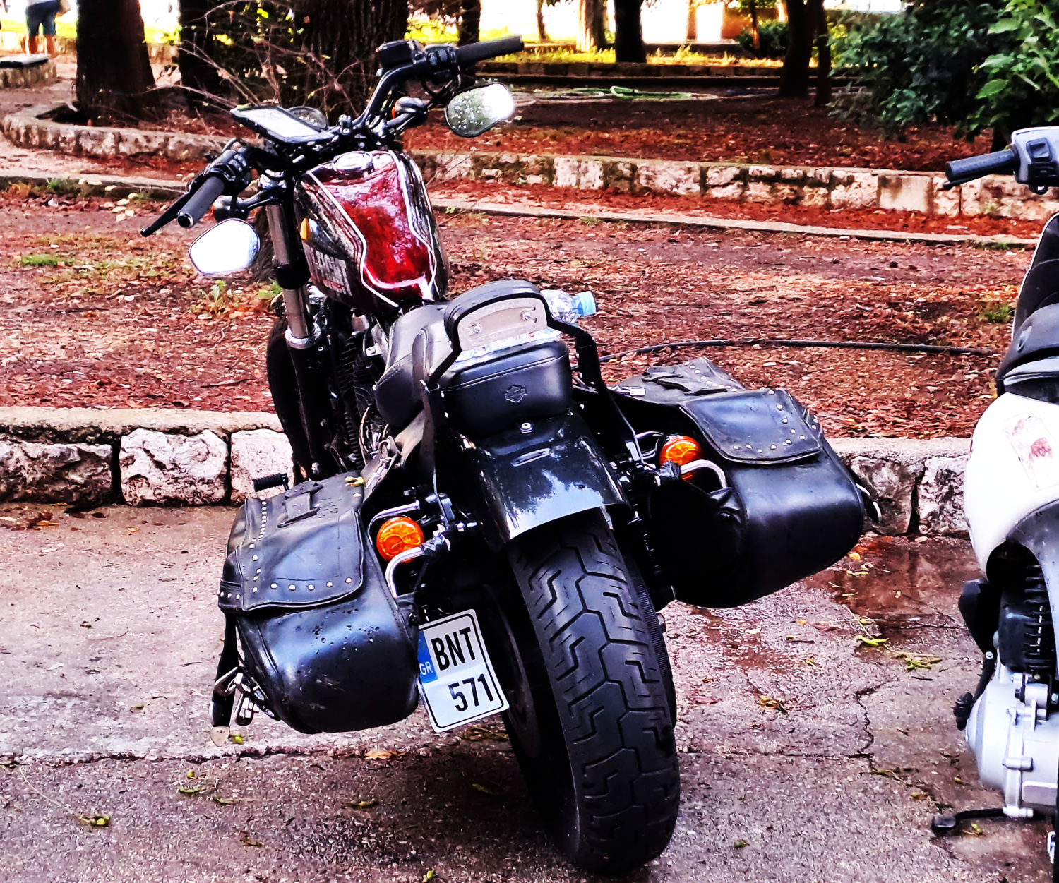 BNT-571, Harley-Davidson XL 